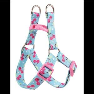 Harness and leash for small pet. Sizing in pics.